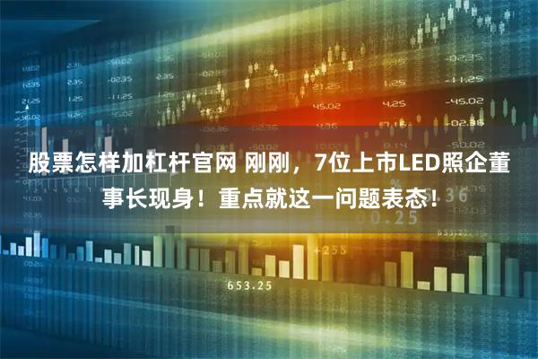 股票怎样加杠杆官网 刚刚，7位上市LED照企董事长现身！重点就这一问题表态！