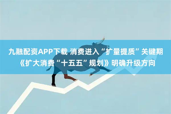 九融配资APP下载 消费进入“扩量提质”关键期 《扩大消费“十五五”规划》明确升级方向
